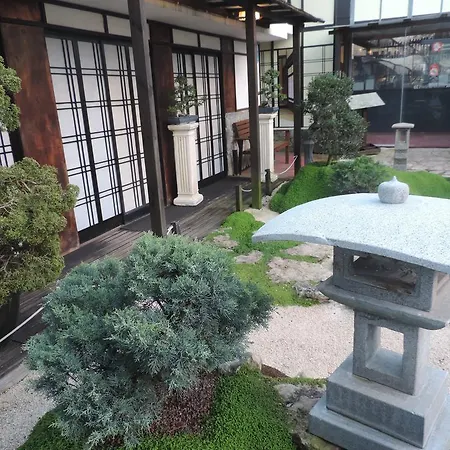 Bonsai Family * סינטרה