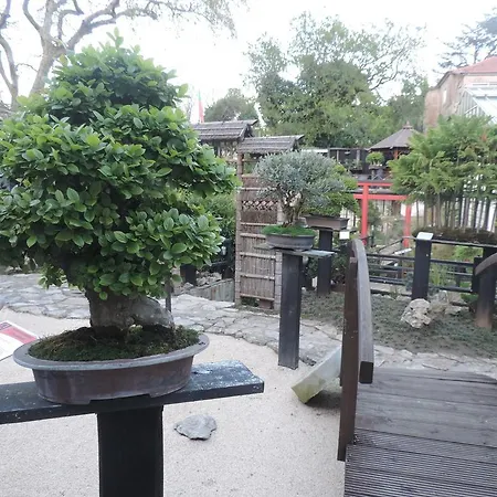 Bonsai Family בית הארחה סינטרה