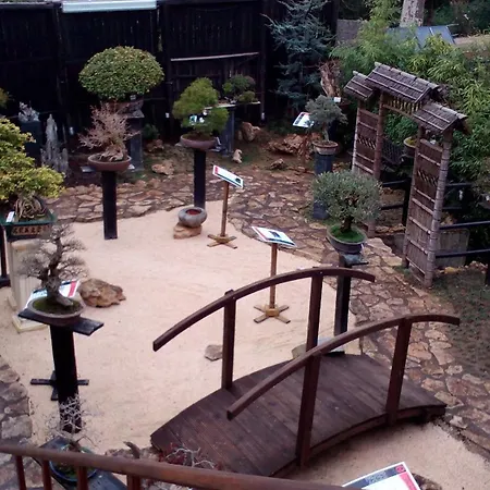 Bonsai Family *