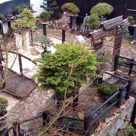 בית הארחה Bonsai Family