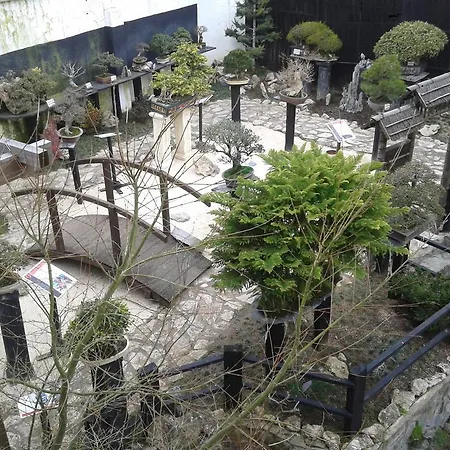 בית הארחה Bonsai Family *