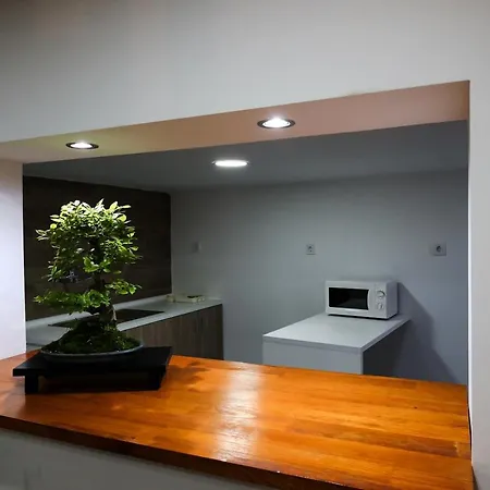 Bonsai Family סינטרה
