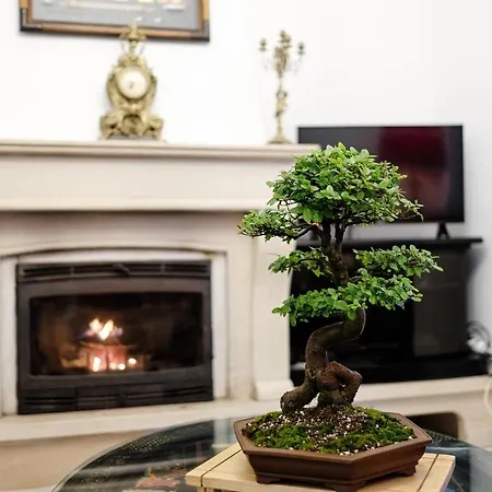 Bonsai Family
